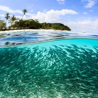 Lang Tengah Island
