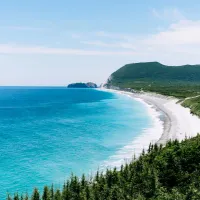 Niijima